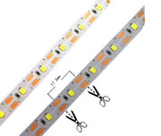 Luminous Plastic Light Bar